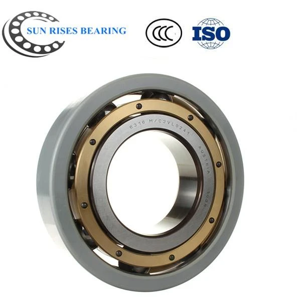 6319/C3VL0241 Bearing