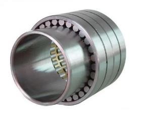 SL045032 PPNR Double Row Cylindrical Roller Bearing